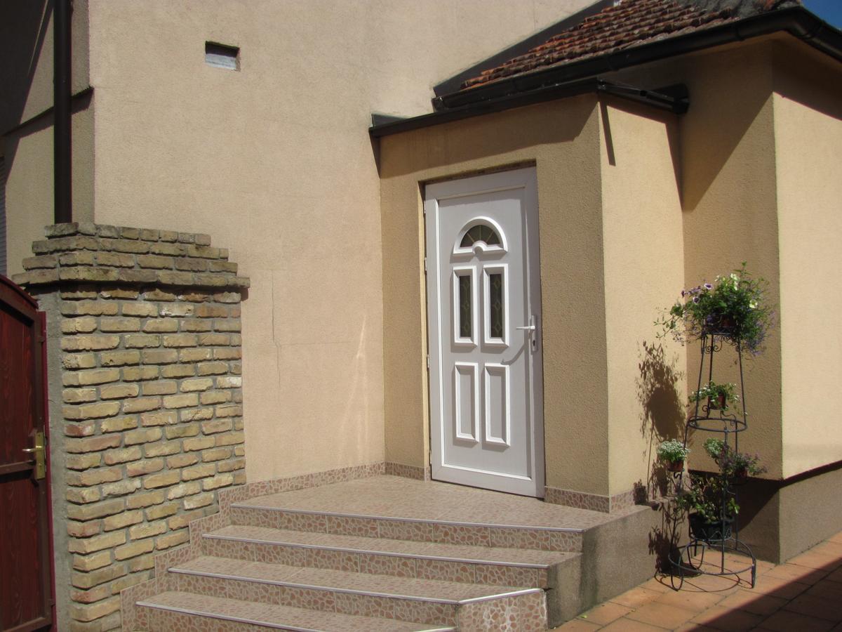 Marijana - Center Daire Novi Sad Dış mekan fotoğraf
