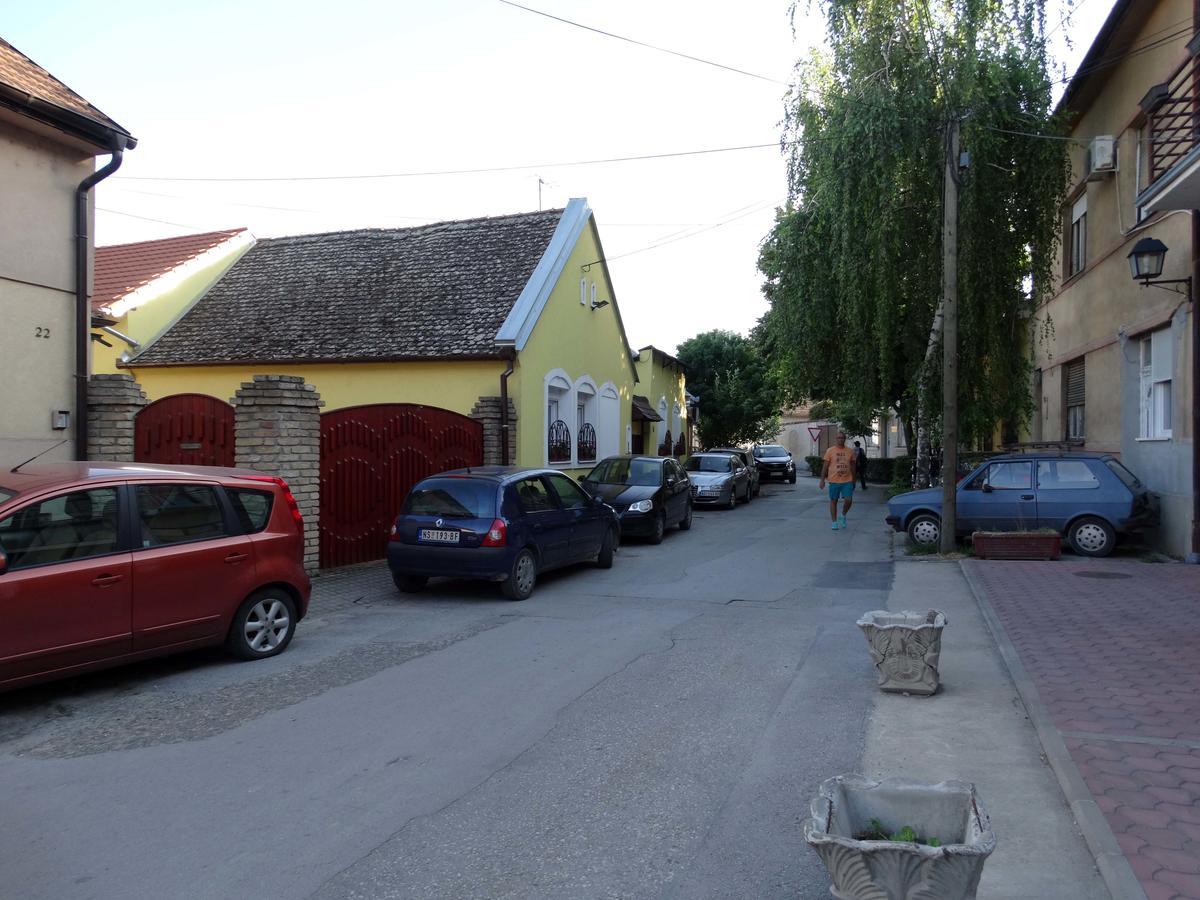 Marijana - Center Daire Novi Sad Dış mekan fotoğraf